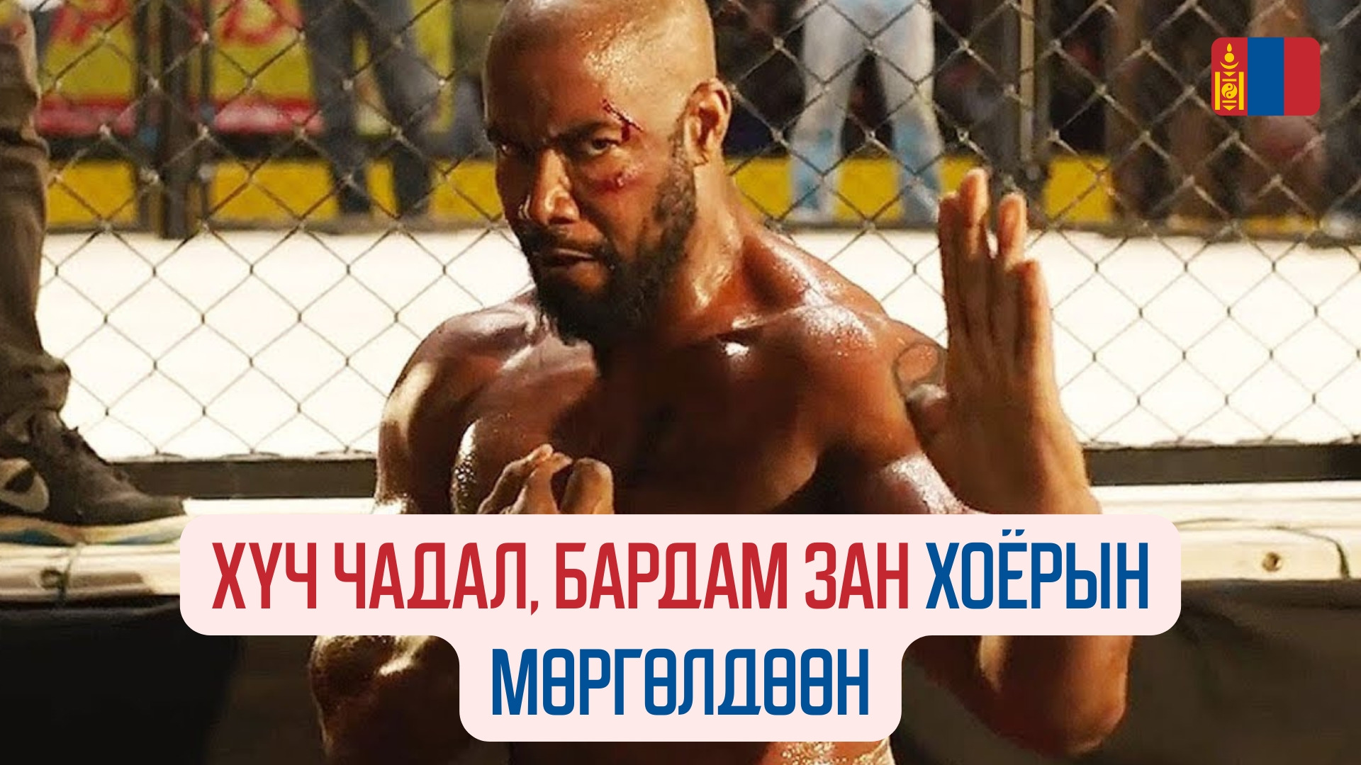 Never Back Down (2008)